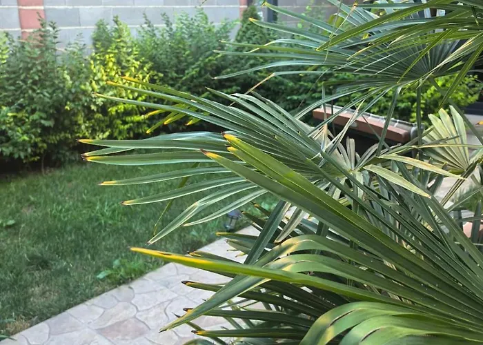 בית נופש Casa M קרנבו