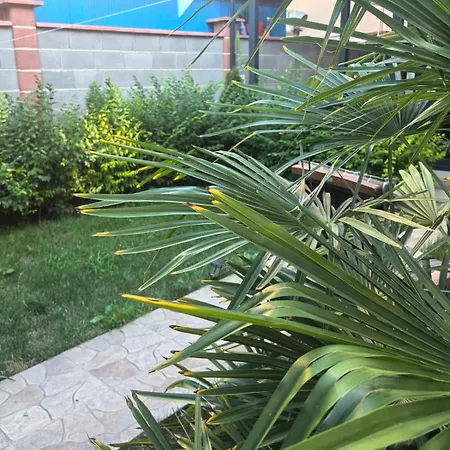 펜션 Casa M 크레네보